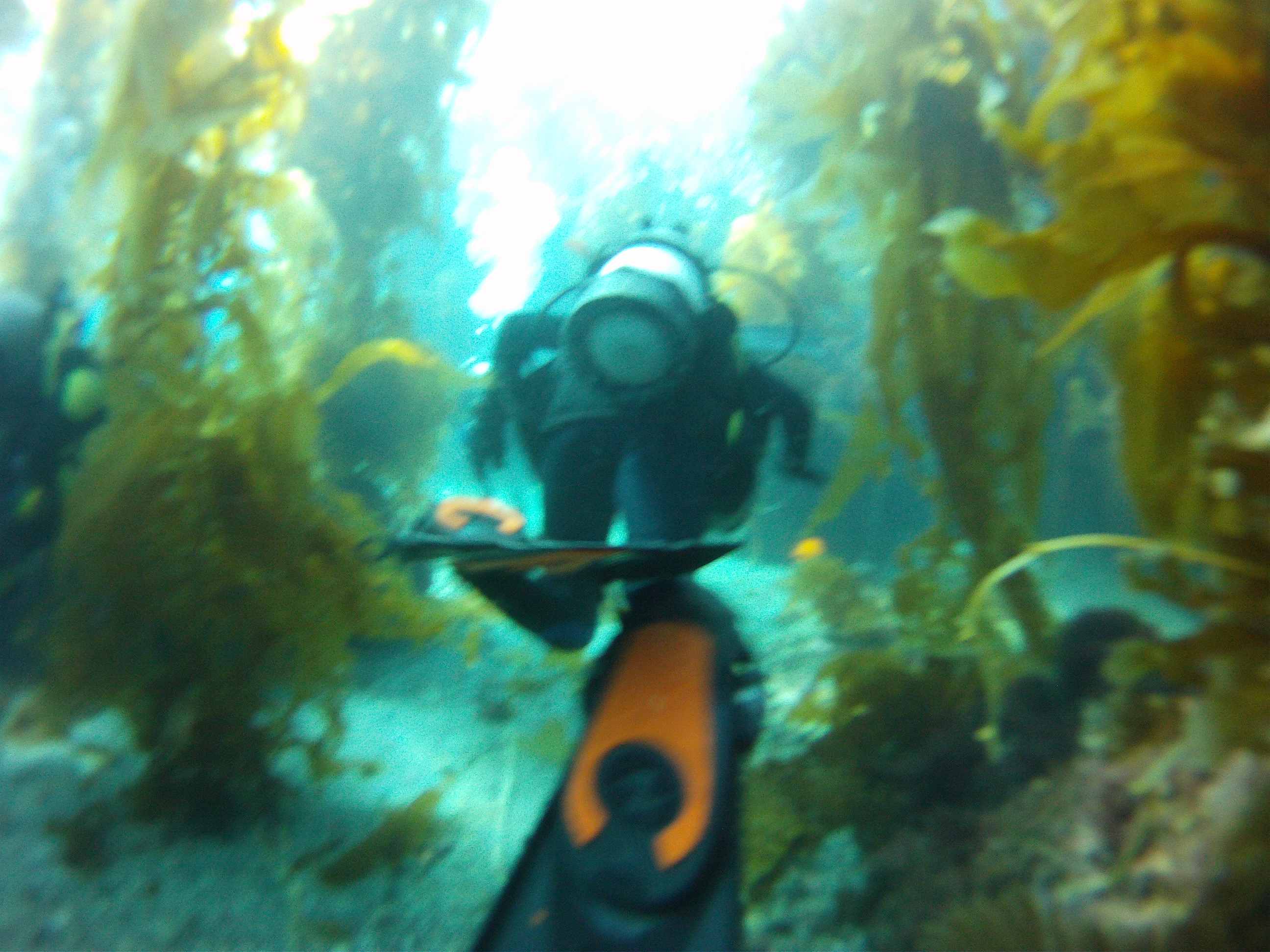 DCIM100GOPRO