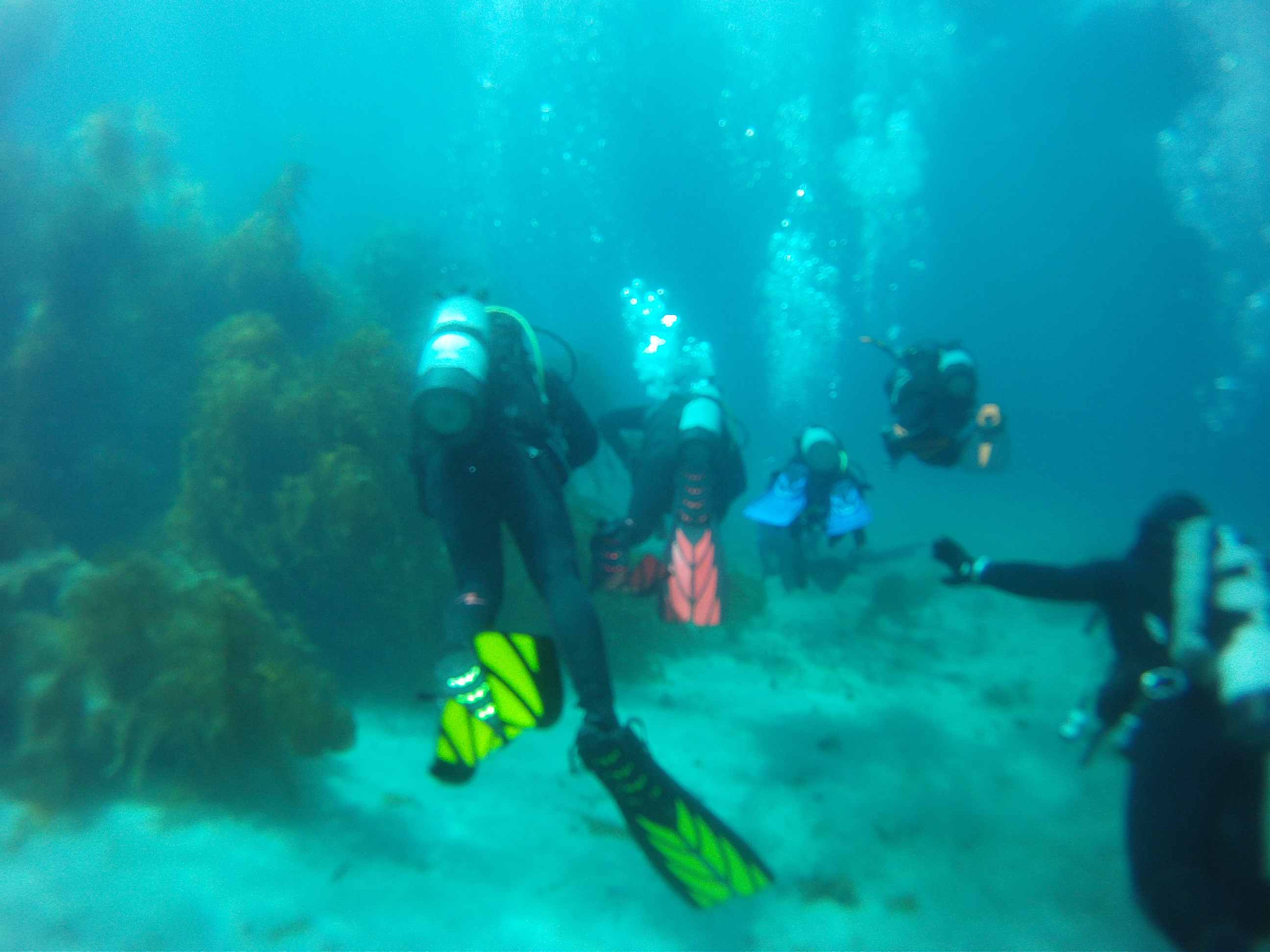 DCIM100GOPRO