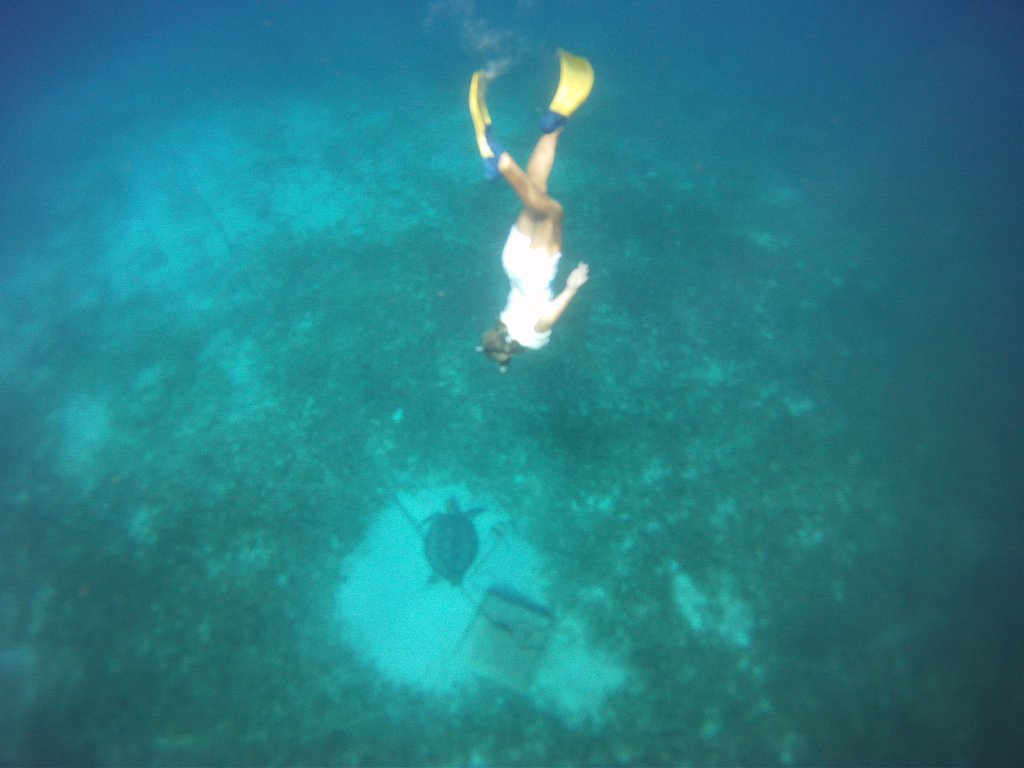 DCIM100GOPRO