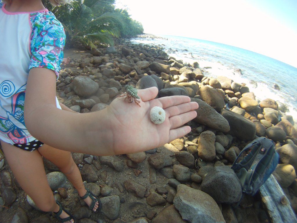DCIM100GOPRO