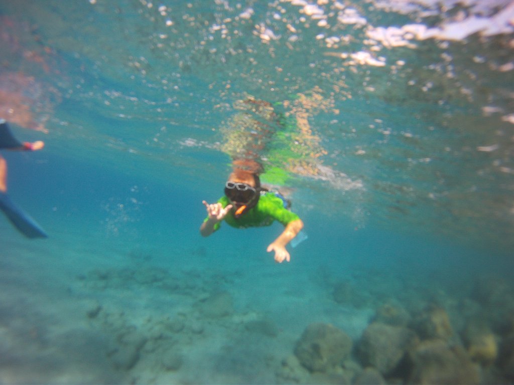 DCIM100GOPRO