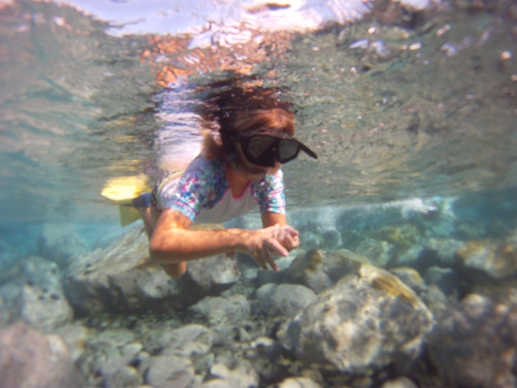 DCIM100GOPRO