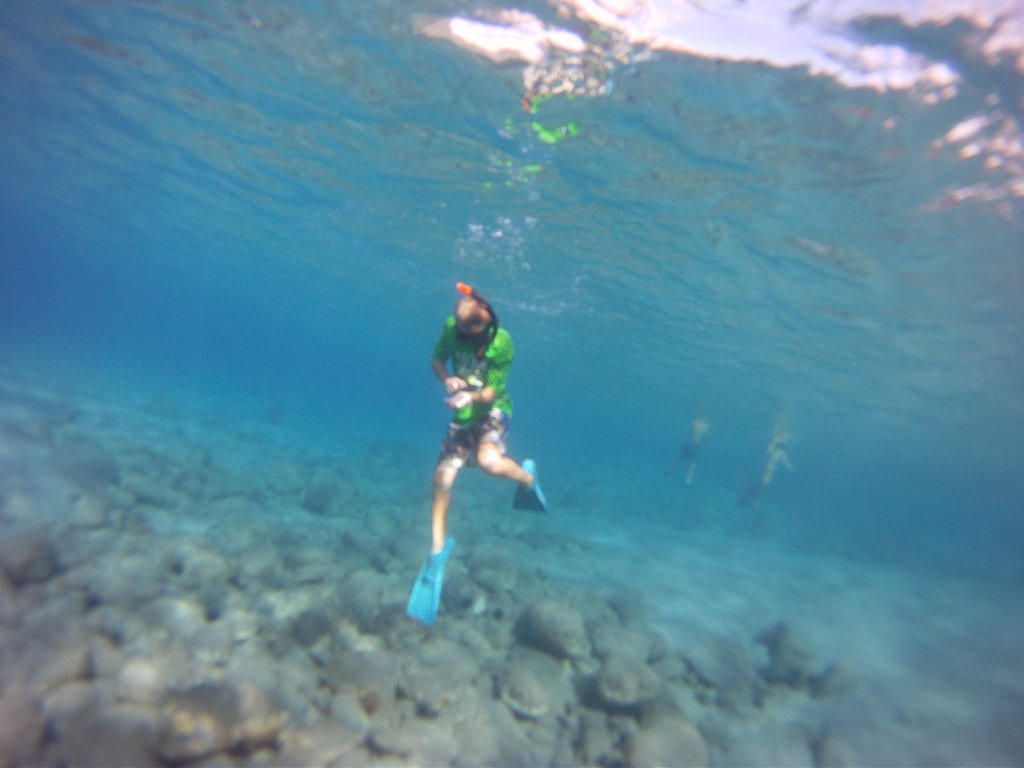 DCIM100GOPRO