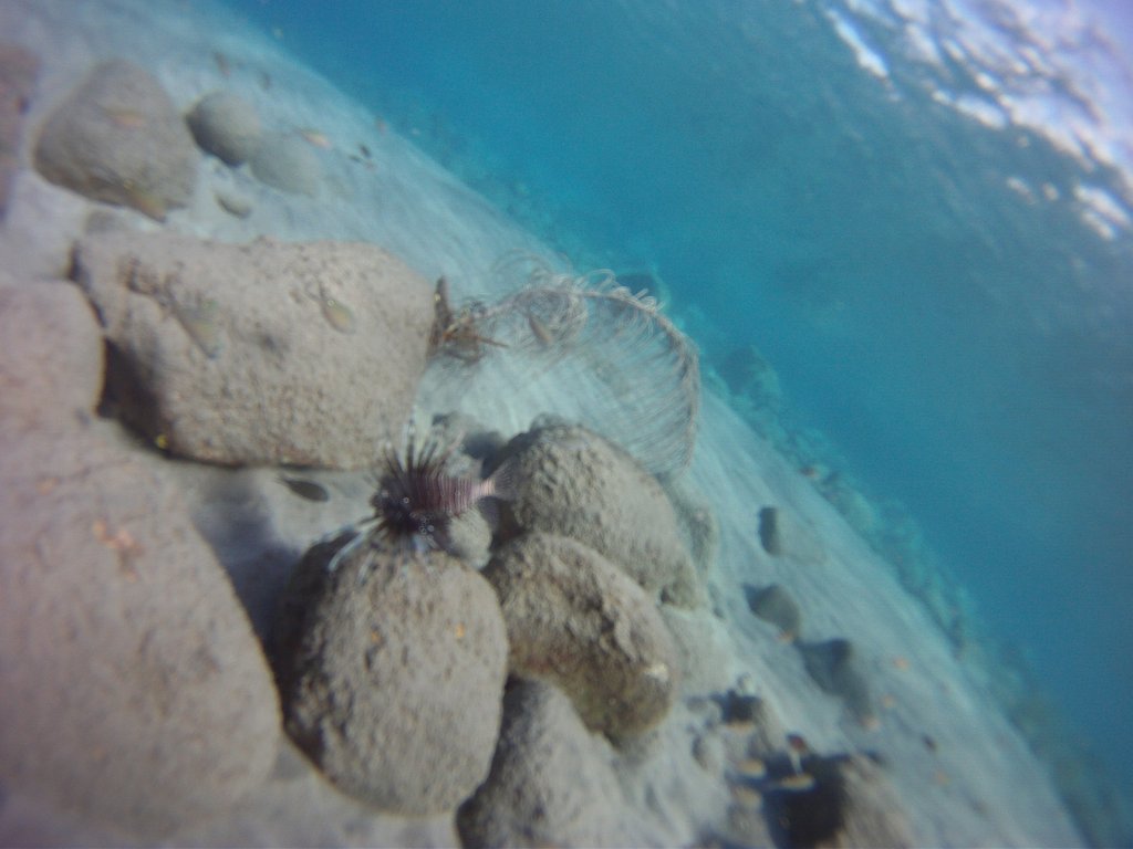 DCIM100GOPRO
