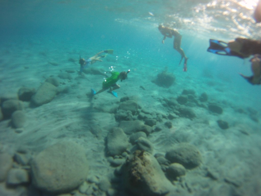 DCIM100GOPRO